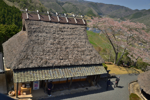 臨時：周匝D№8